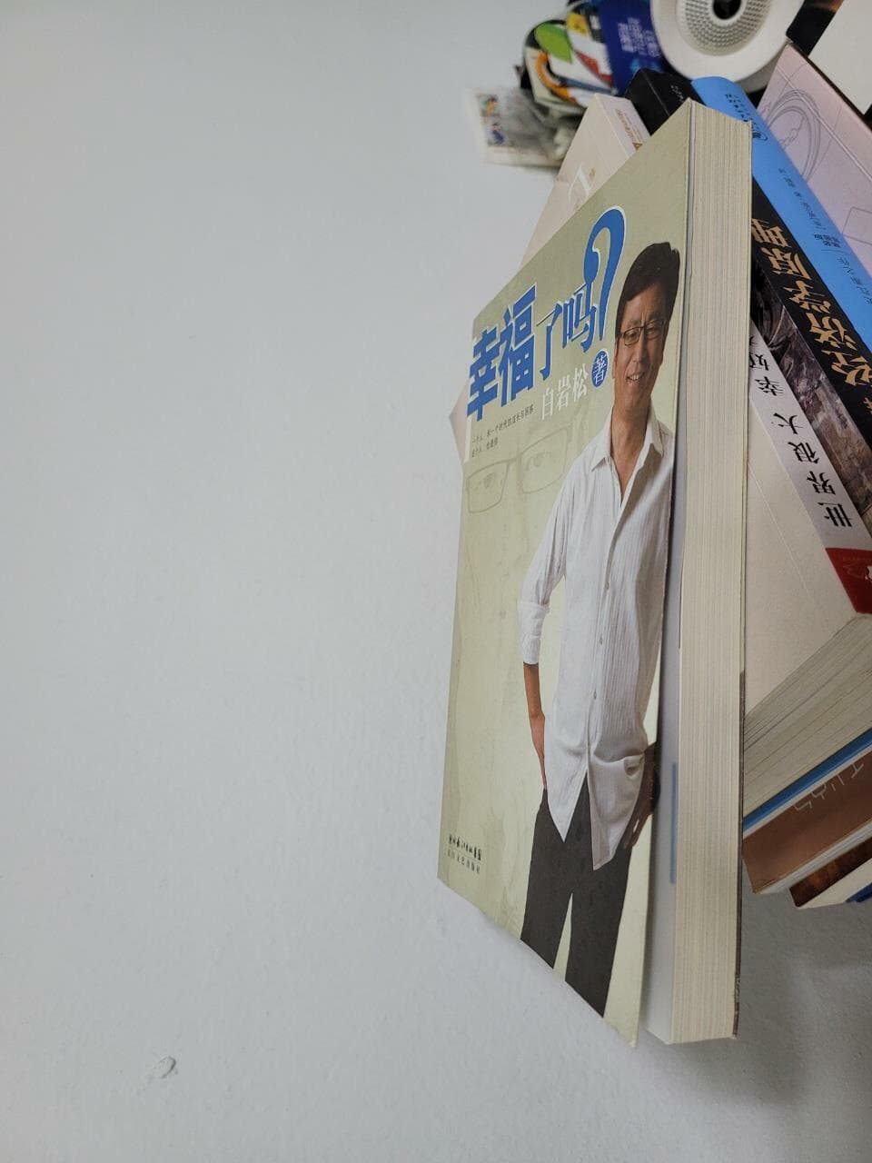 Xing Fu Le Ma (Paperback)/ 幸福了?? 