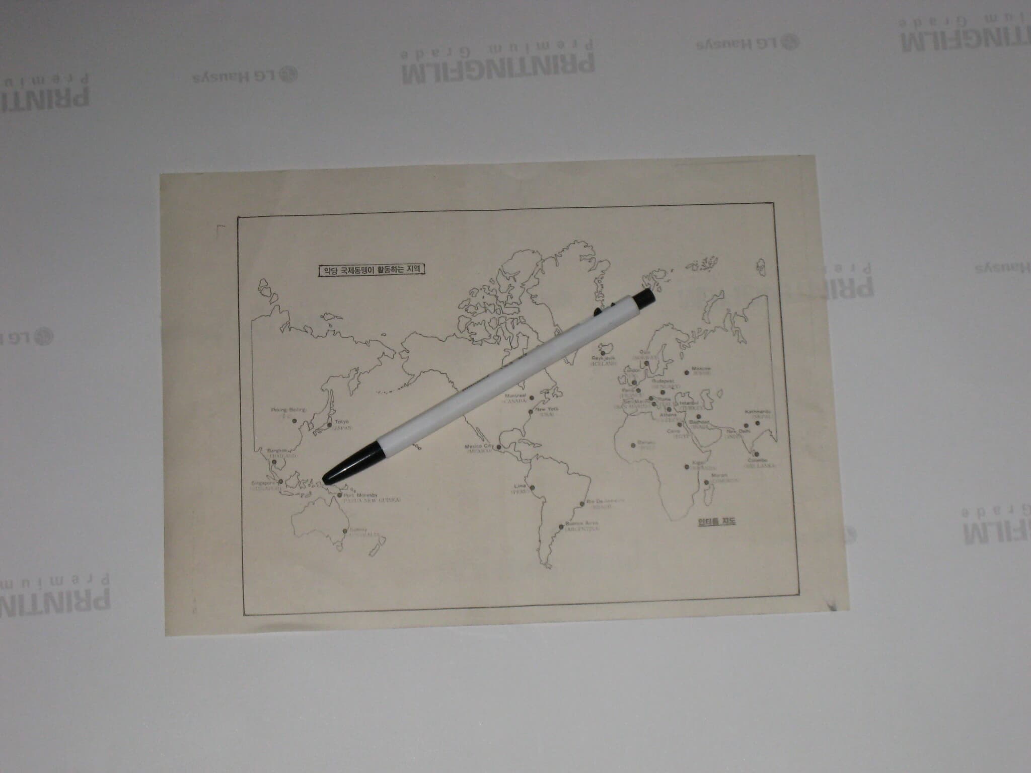 국제형사경찰기구 interpol 인터폴지도 악당 국제동맹이 활동하는 지역 English. World map