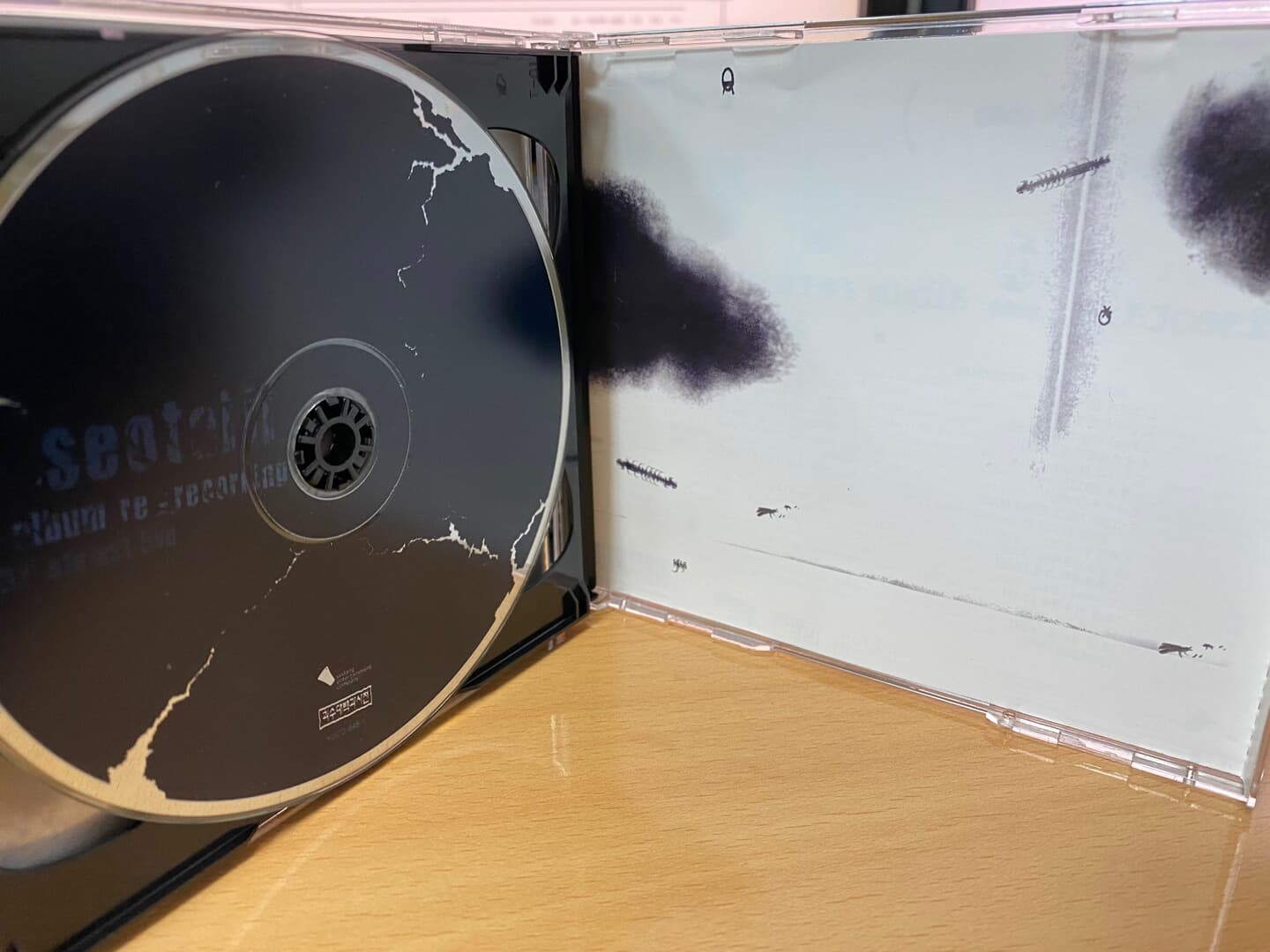 서태지 - 6집 Seo Taiji 6Th Album Re-Recording & Etpfest Live