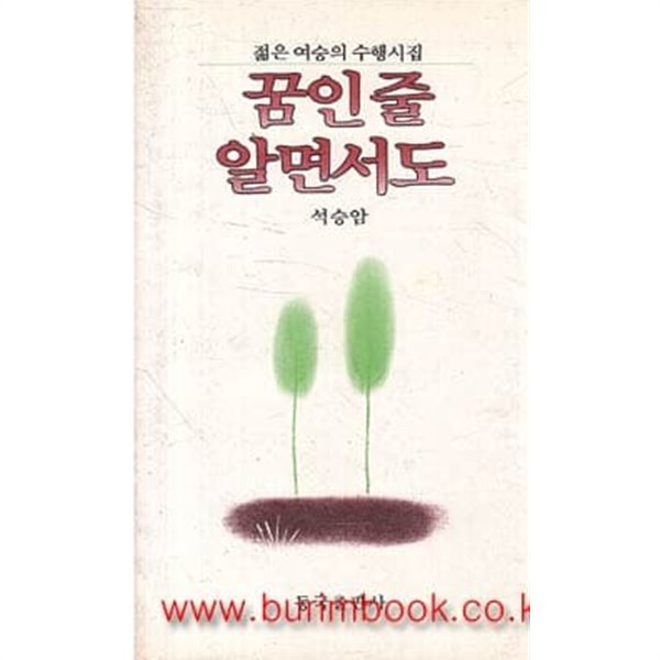 1989년 초판 석승암 시집 젊은 여승의 수행시집 꿈인 줄 알면서도