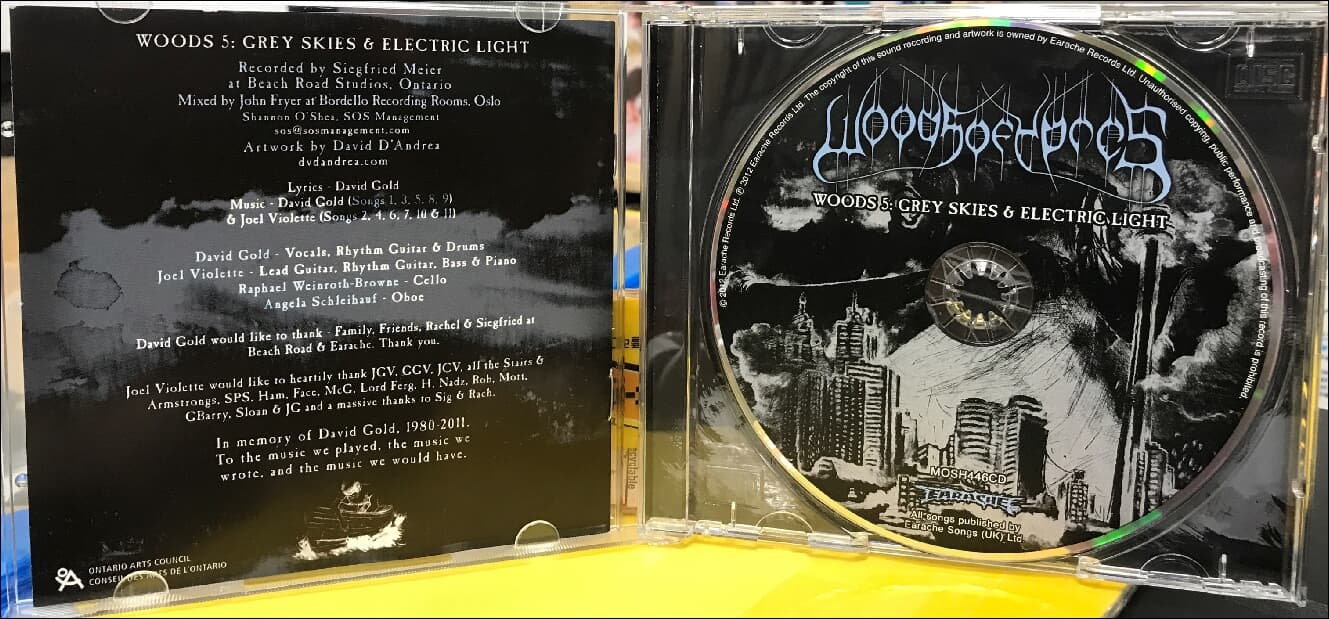 Woods Of Ypres - Woods 5: Grey Skies & Electric Light(UK & Europe발매)