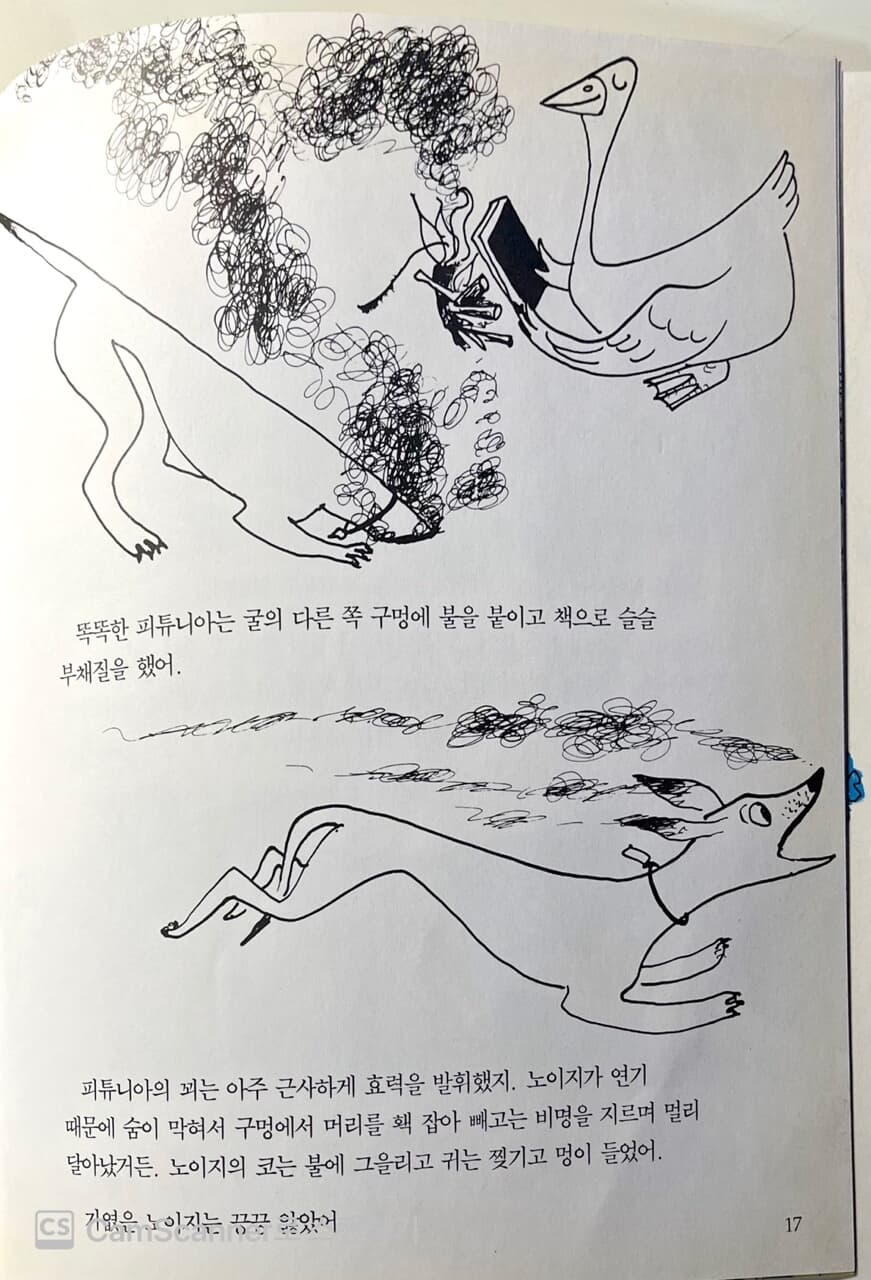 피튜니아, 공부를 시작하다