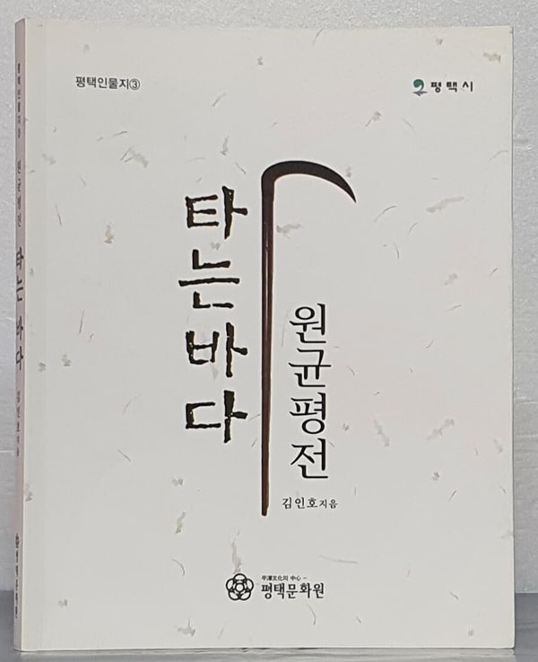 타는 바다 - 원균 평전