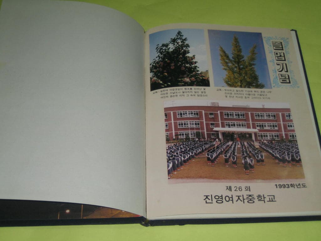 김해 진영여자중학교 1993학년도 제26회 졸업앨범 진영장등중학교 졸업기념 