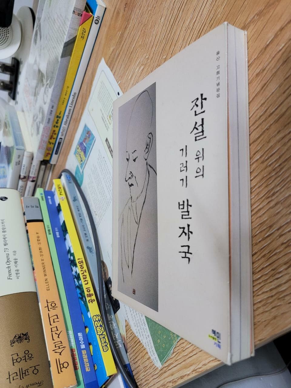 잔설 위의 기러기 발자국 / 옹산 고희기념문집