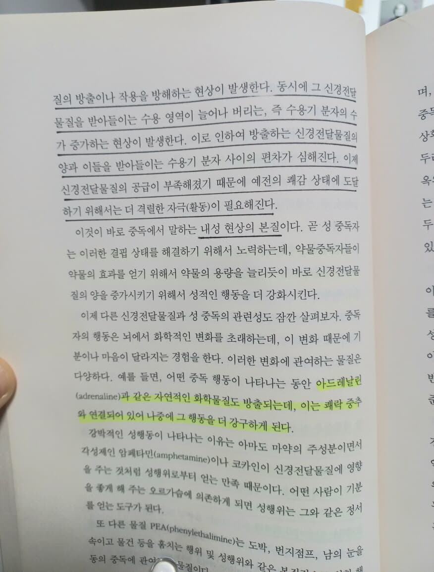 성 중독의 심리학 