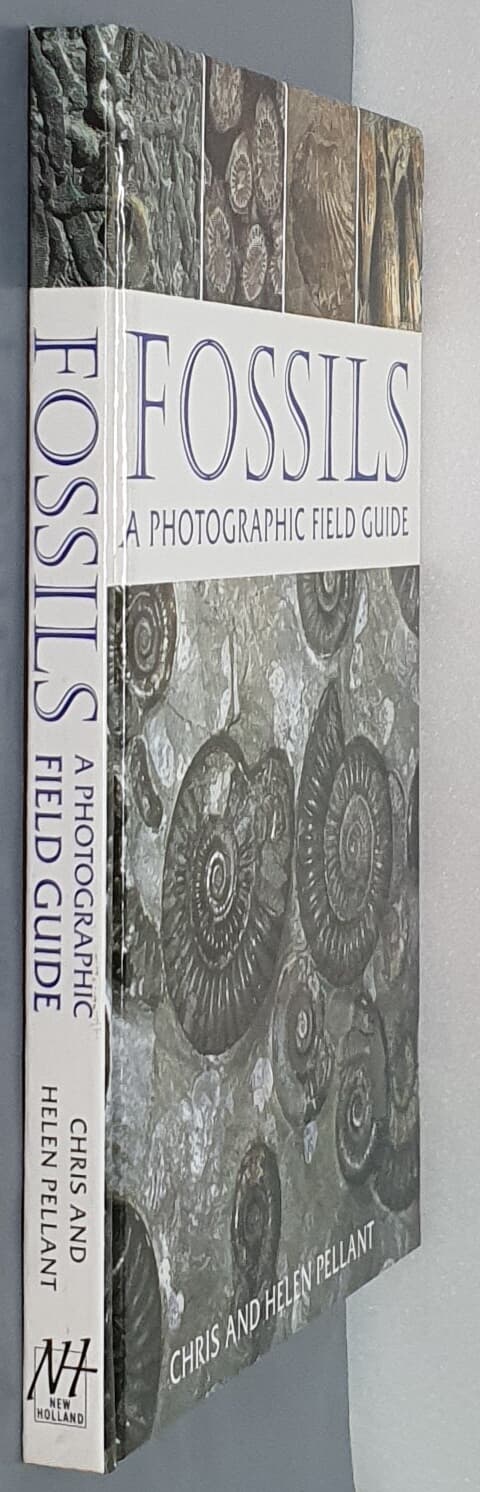 Fossils : A Photographic Field Guide 