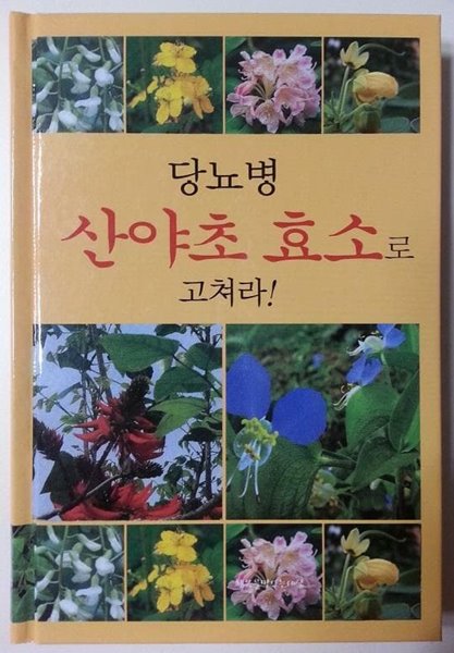 당뇨병 산야초 효소로 고쳐라!(한국의 산야초)-양장