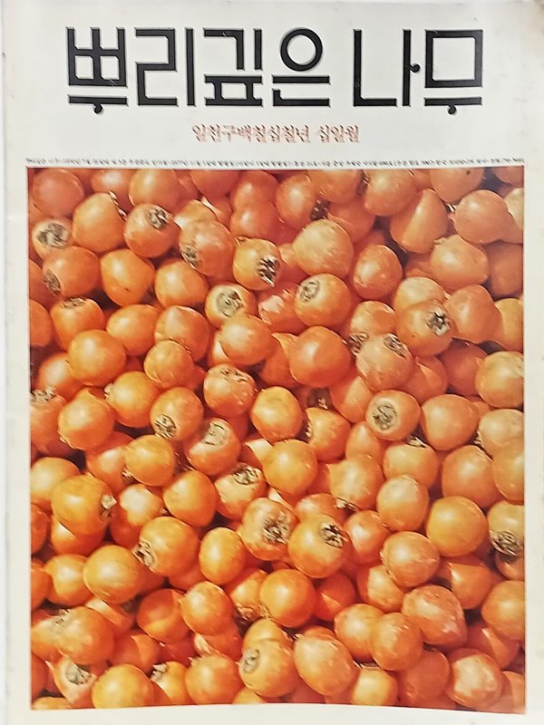 월간 뿌리깊은나무 -1977년 11월- 통권 21호-