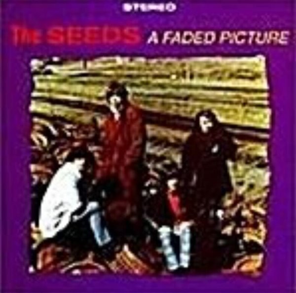 The Seeds/A Faded Picture