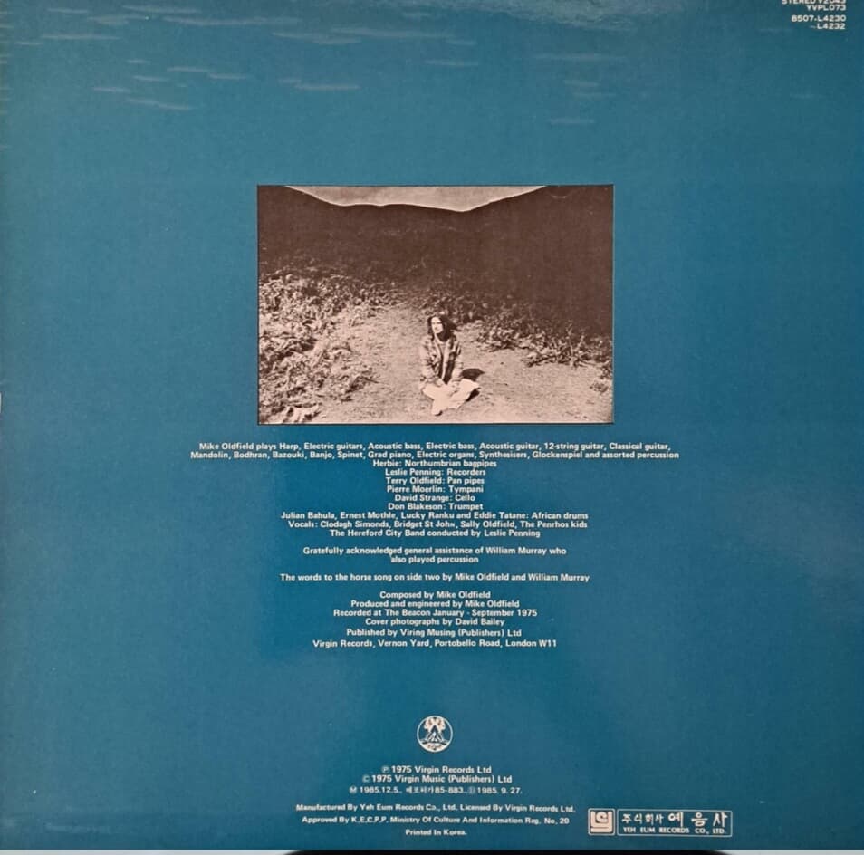 MIKE OLDFIELD/Ommadawn ----- LP