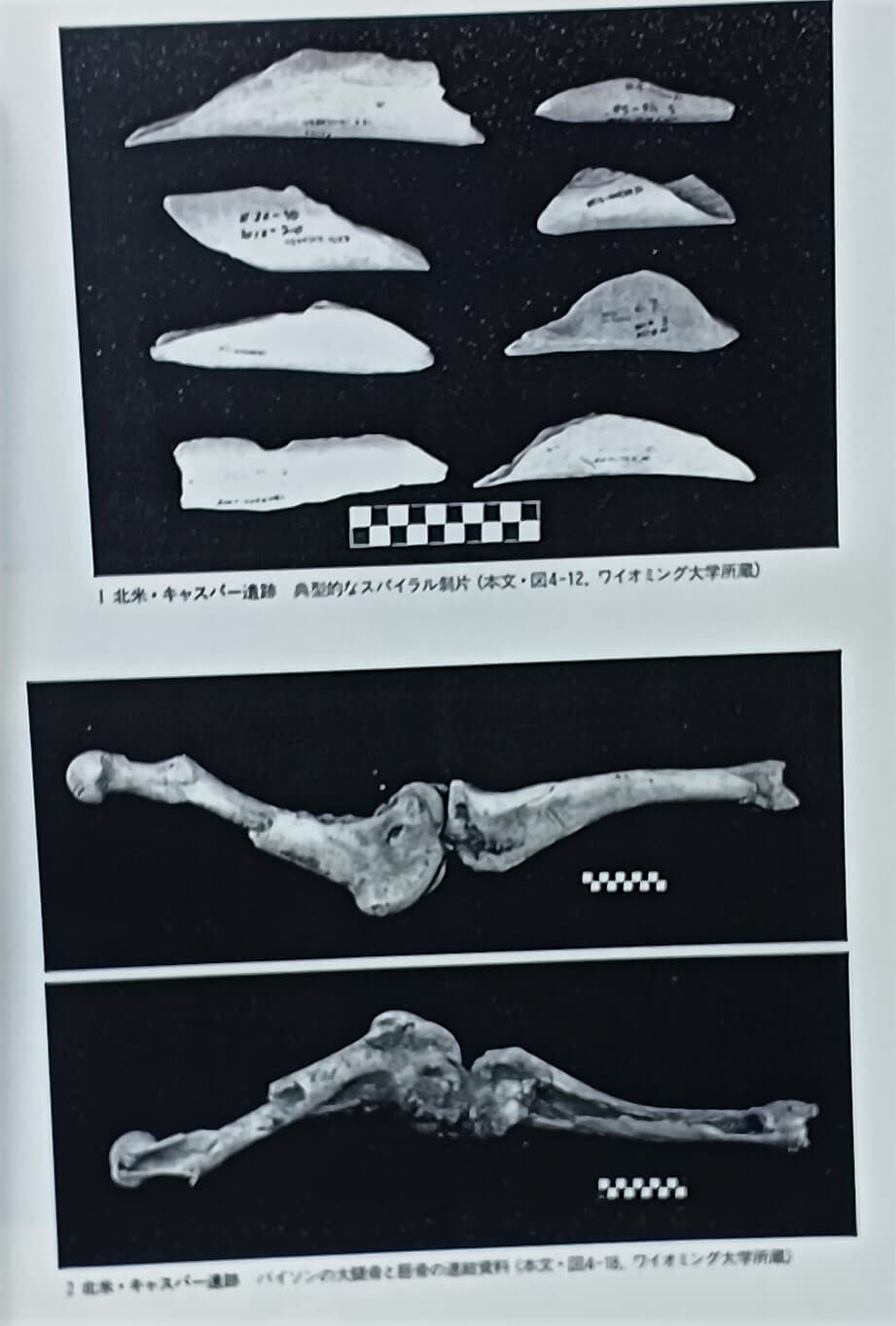 타제골기론(打製骨器論) -구석기시대의 탐구-일본책-180/254/16,290쪽-