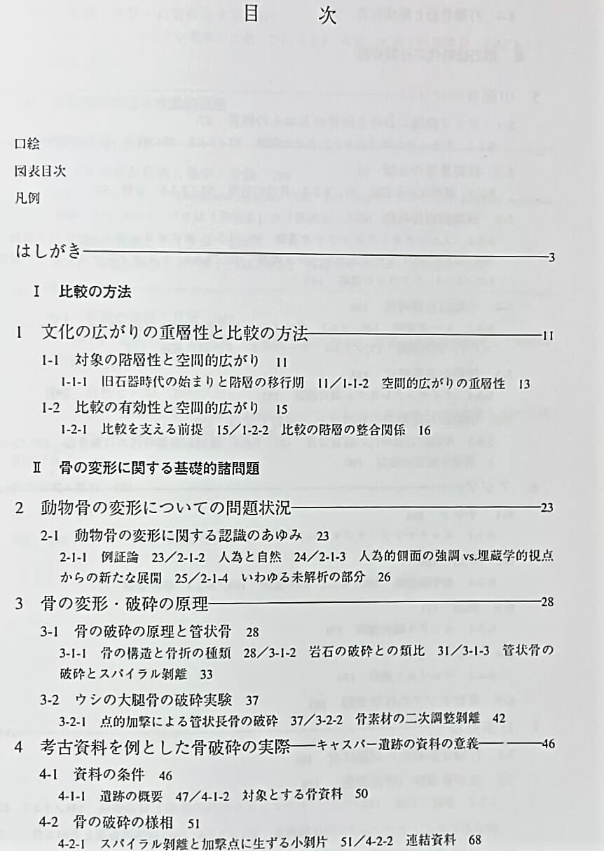 타제골기론(打製骨器論) -구석기시대의 탐구-일본책-180/254/16,290쪽-