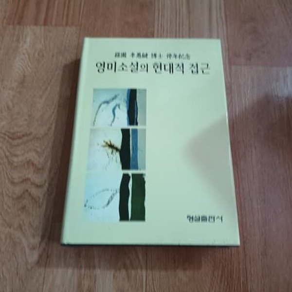 영미소설의 현대적 접근 (나원 이우진박사 정년기념)