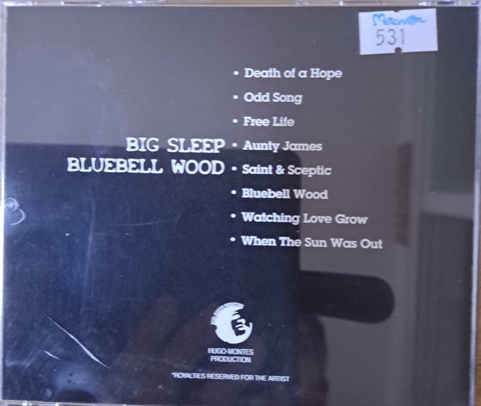 Big Sleep (빅 슬립) - Bluebell Wood