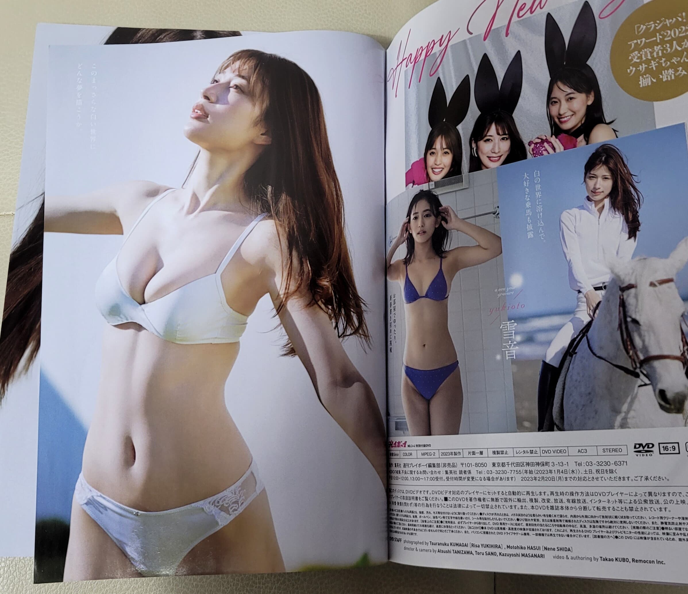 (일본 성인잡지 DVD부록 포함) 주간 플레이보이 2023년 1월 23일호