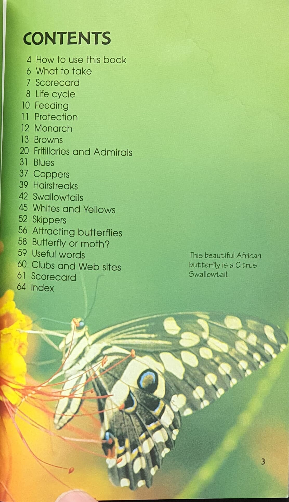 Butterflies (Usborne Spotter's Guides) Paperback ? January 1, 2000