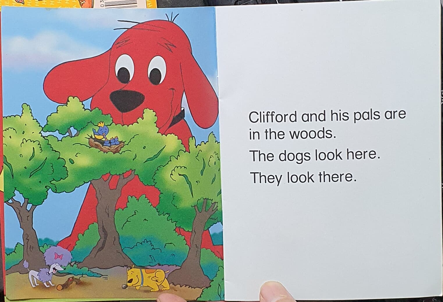 Clifford the Big Red Dog A Day in the Woods Phonics Fun Paperback ? January 1, 2002