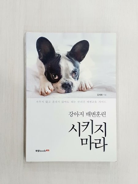 강아지 배변훈련 시키지 마라