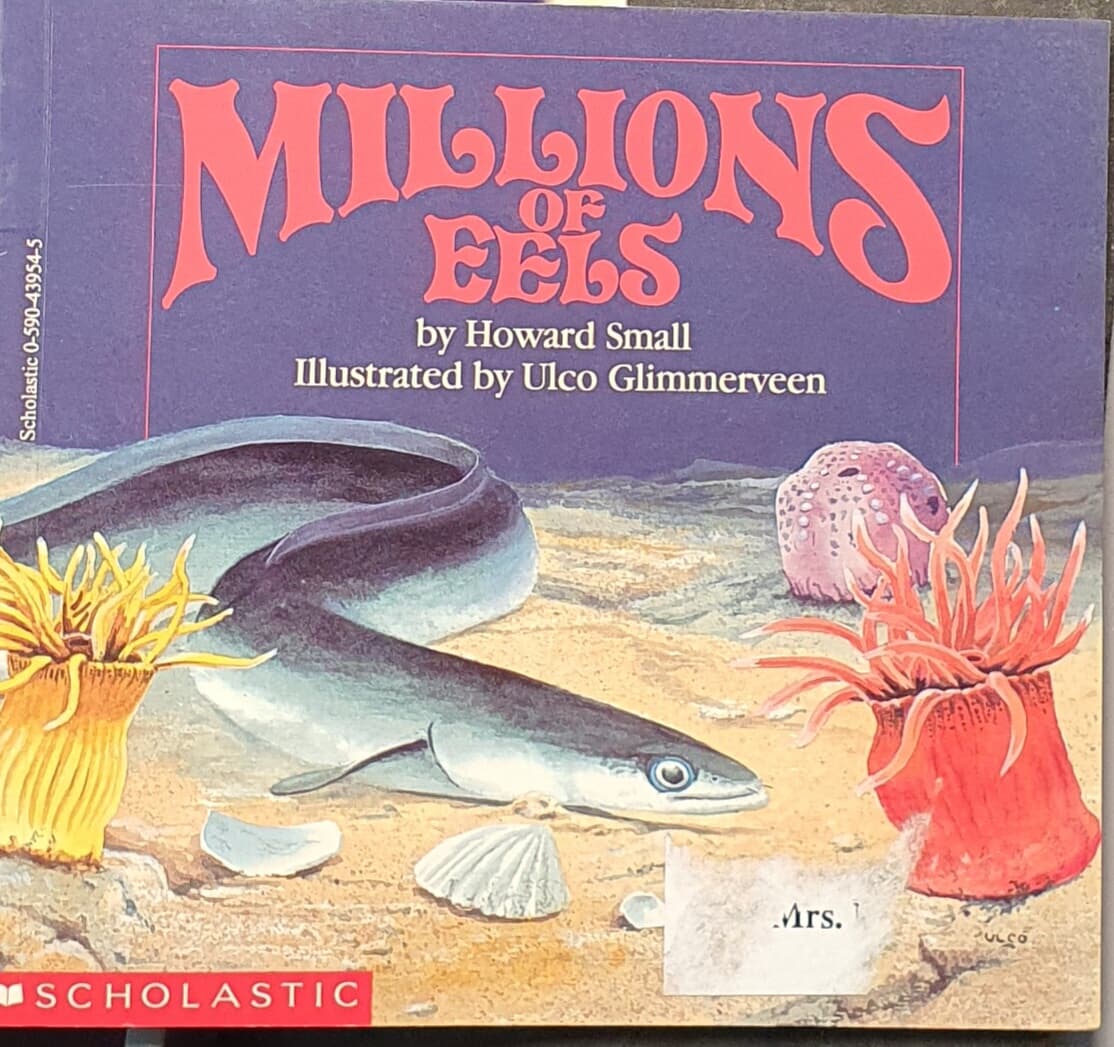 Millions of eels paperback