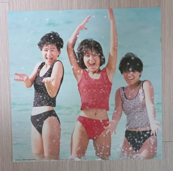 LP] 소녀대(Shojotai) / Flamingo Island(컬러반)