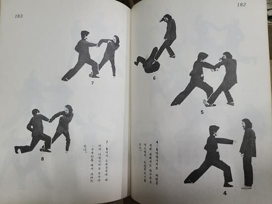 육합권 - 六合拳 : 중국북파권법