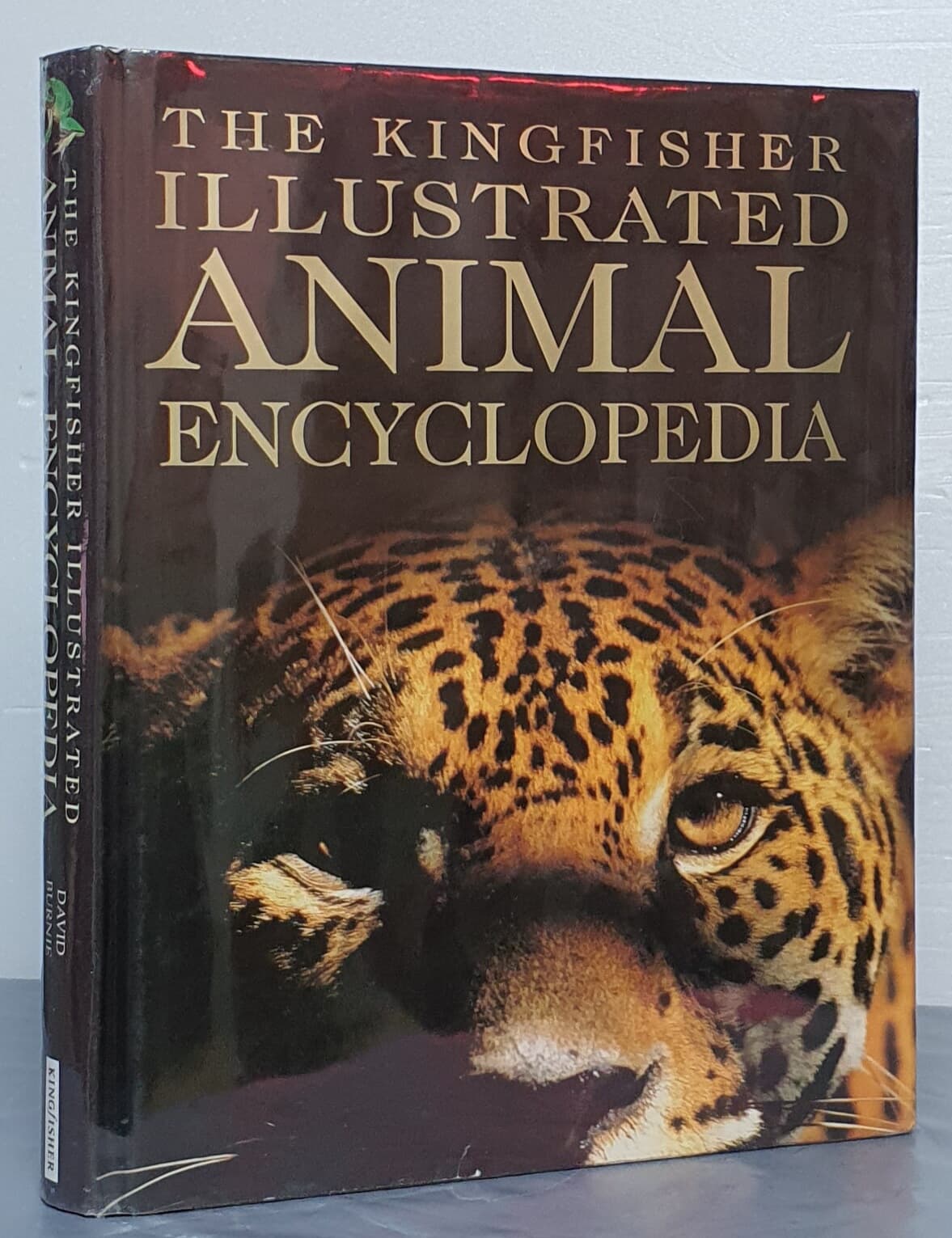 The Kingfisher Illustrated Animal Encyclopedia (Hardcover)