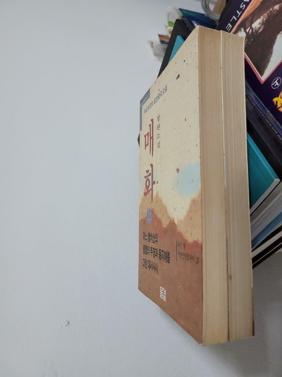 매화 (상-하) - 전2권 완결 세트/ 물결문예신서 1,2 / 국내 최초의 공산중국 소설              