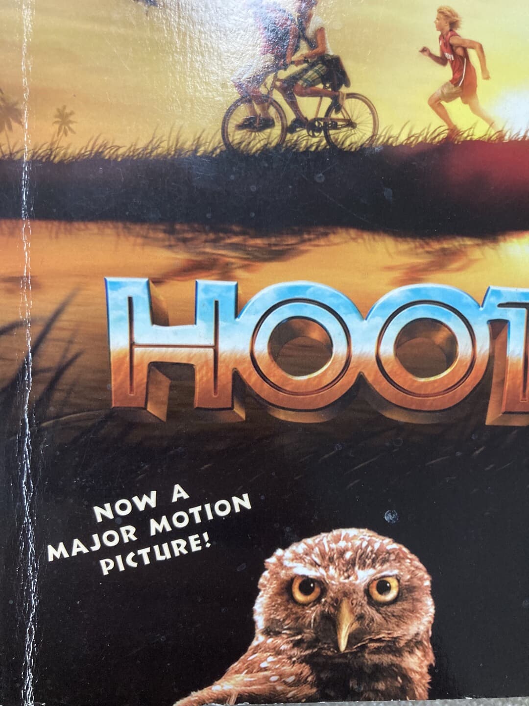 Hoot