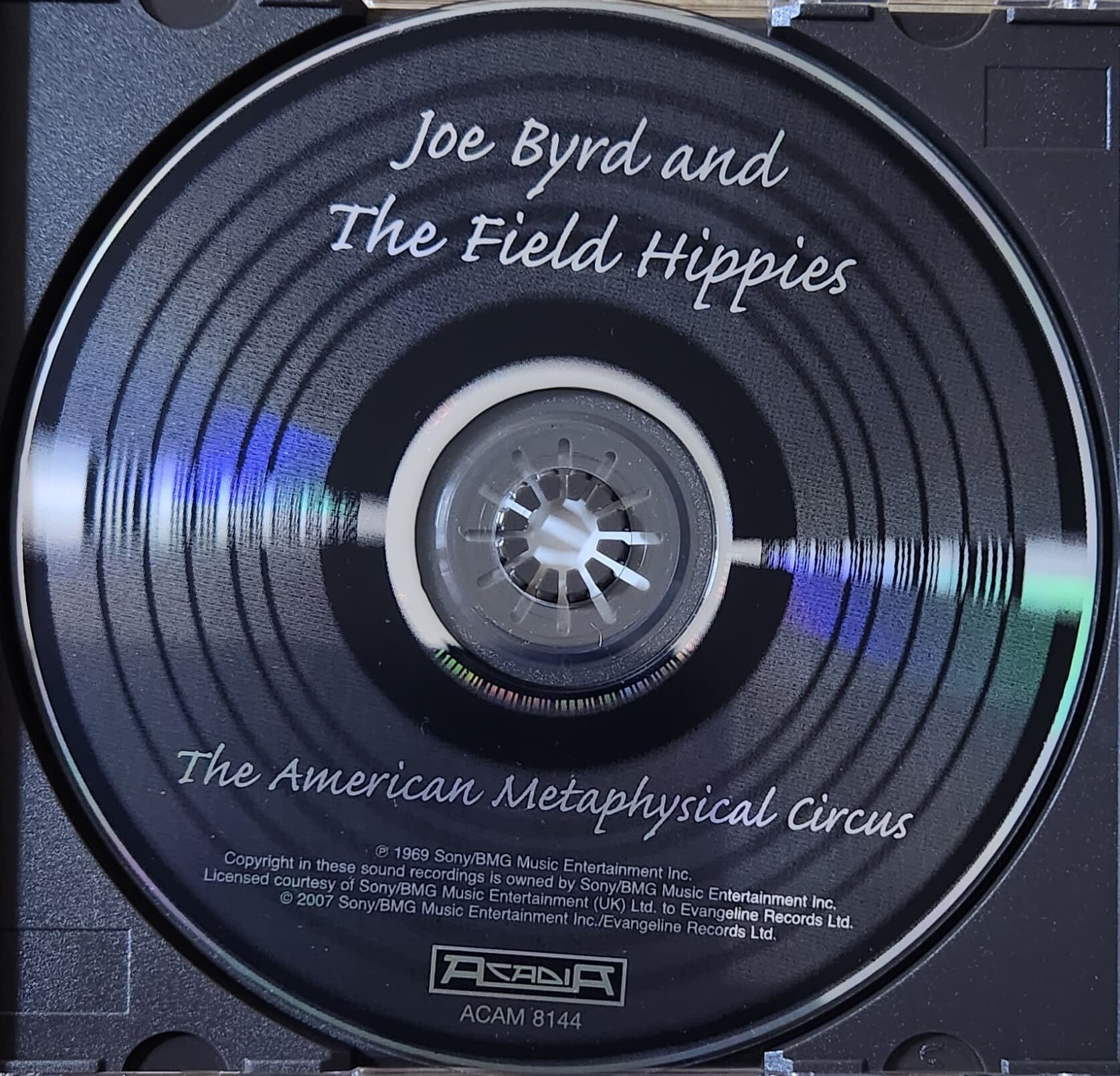 Joe Byrd And The Field Hippies - The American Metaphysical Circus