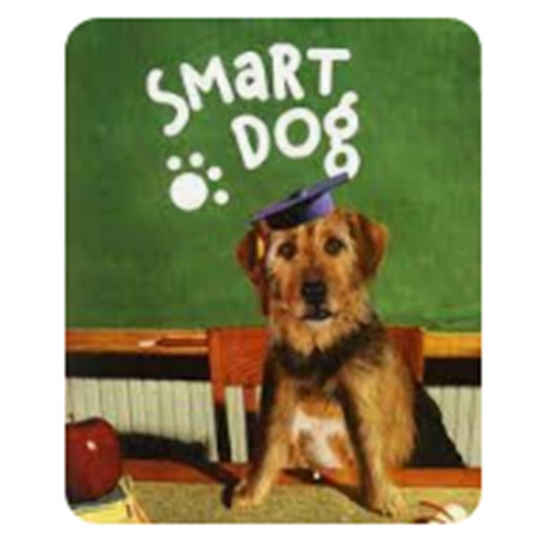 Smart Dog