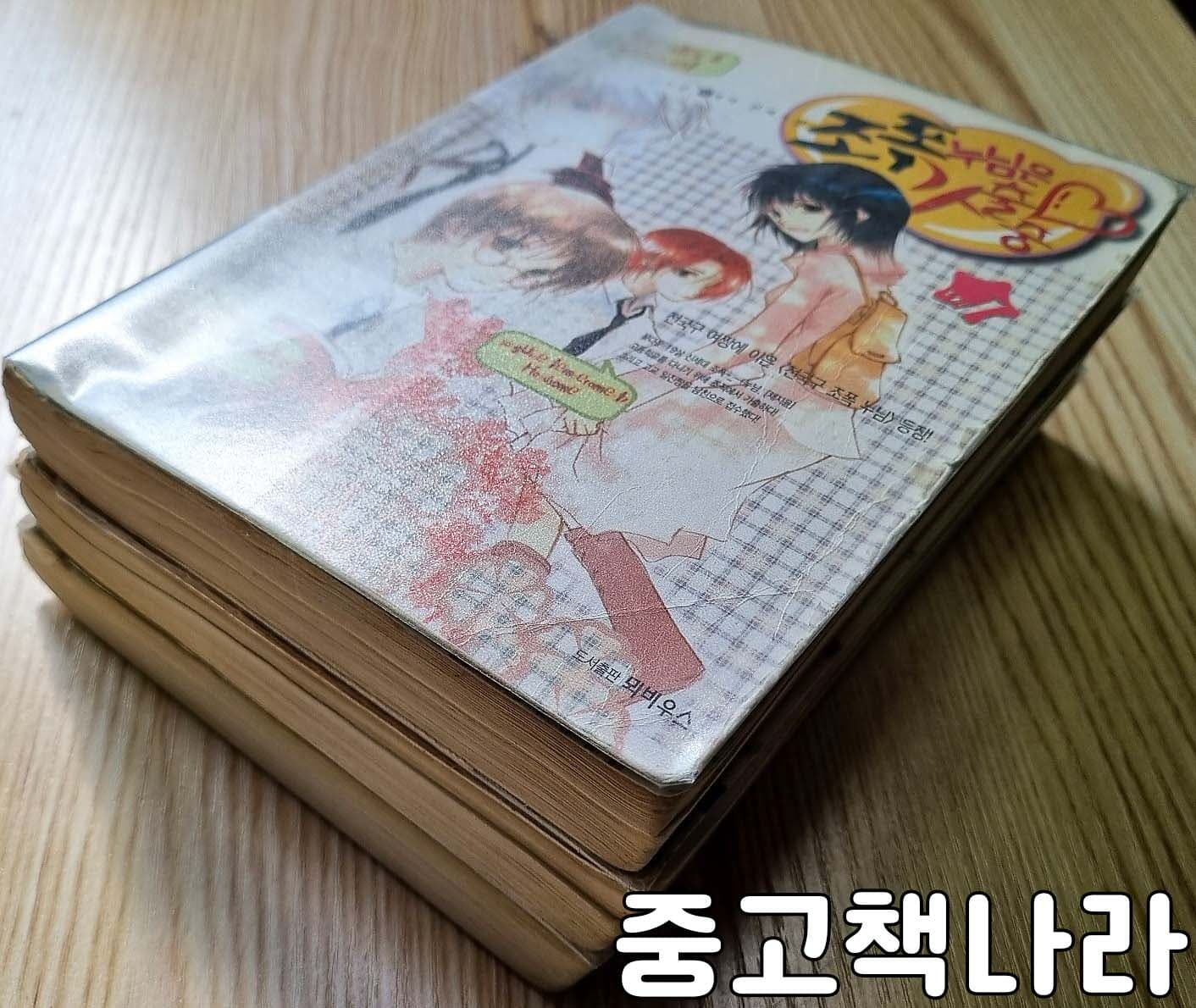 조폭누님은 가출중 1-3/완결