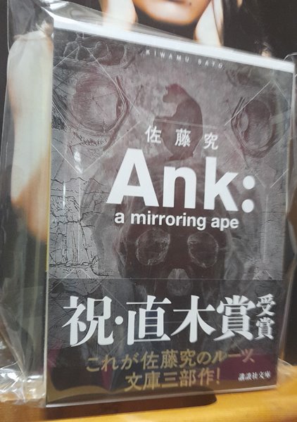 Ank:a mirroring ape