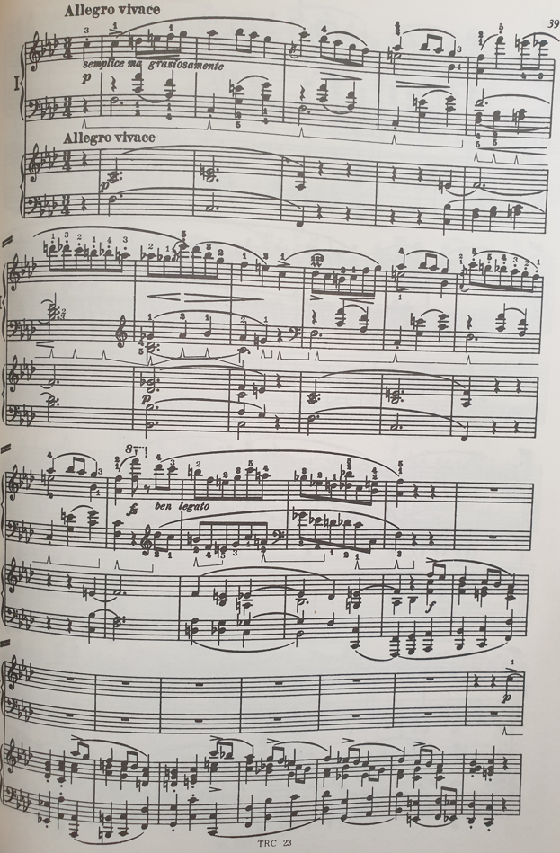 쇼팽 피아노 협주곡 2번 F단조 Op.21