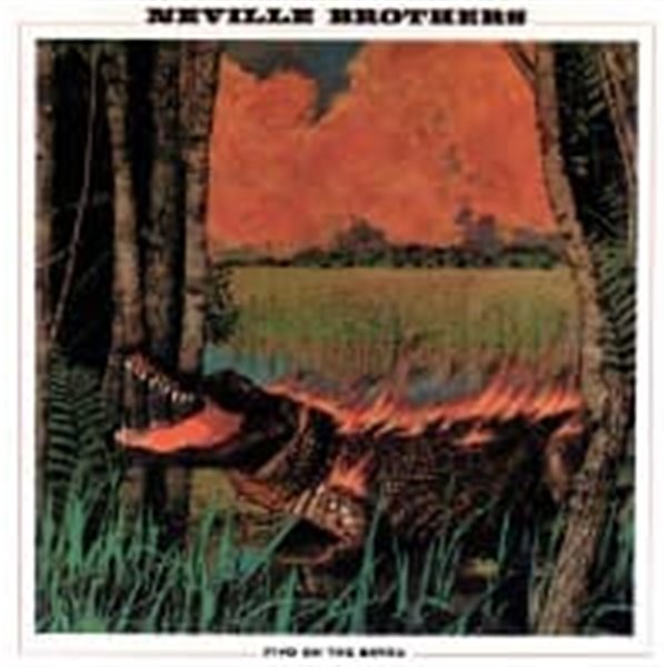 Neville Brothers / Fiyo On The Bayou (일본수입)