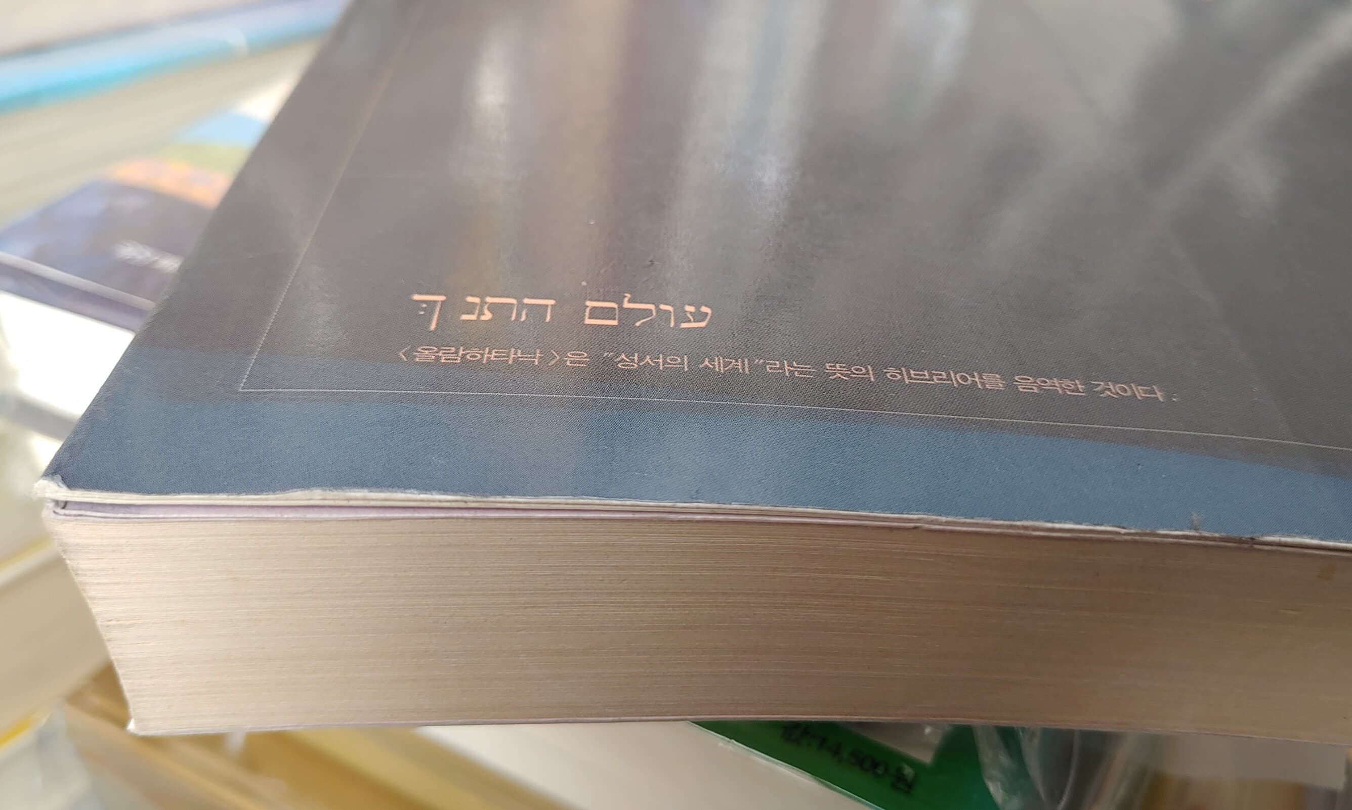 [9788995209707] 성서 히브리어 