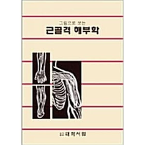 그림으로 보는 근골격 해부학