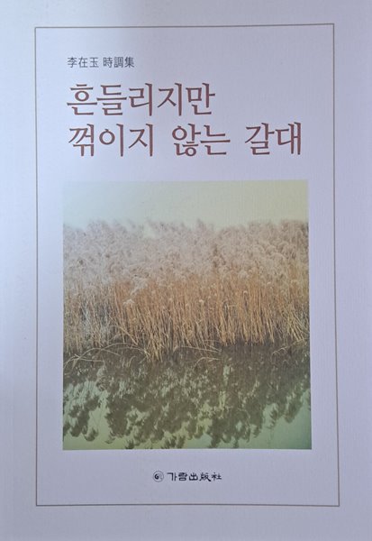 흔들리지만 꺽이지 않는 갈대