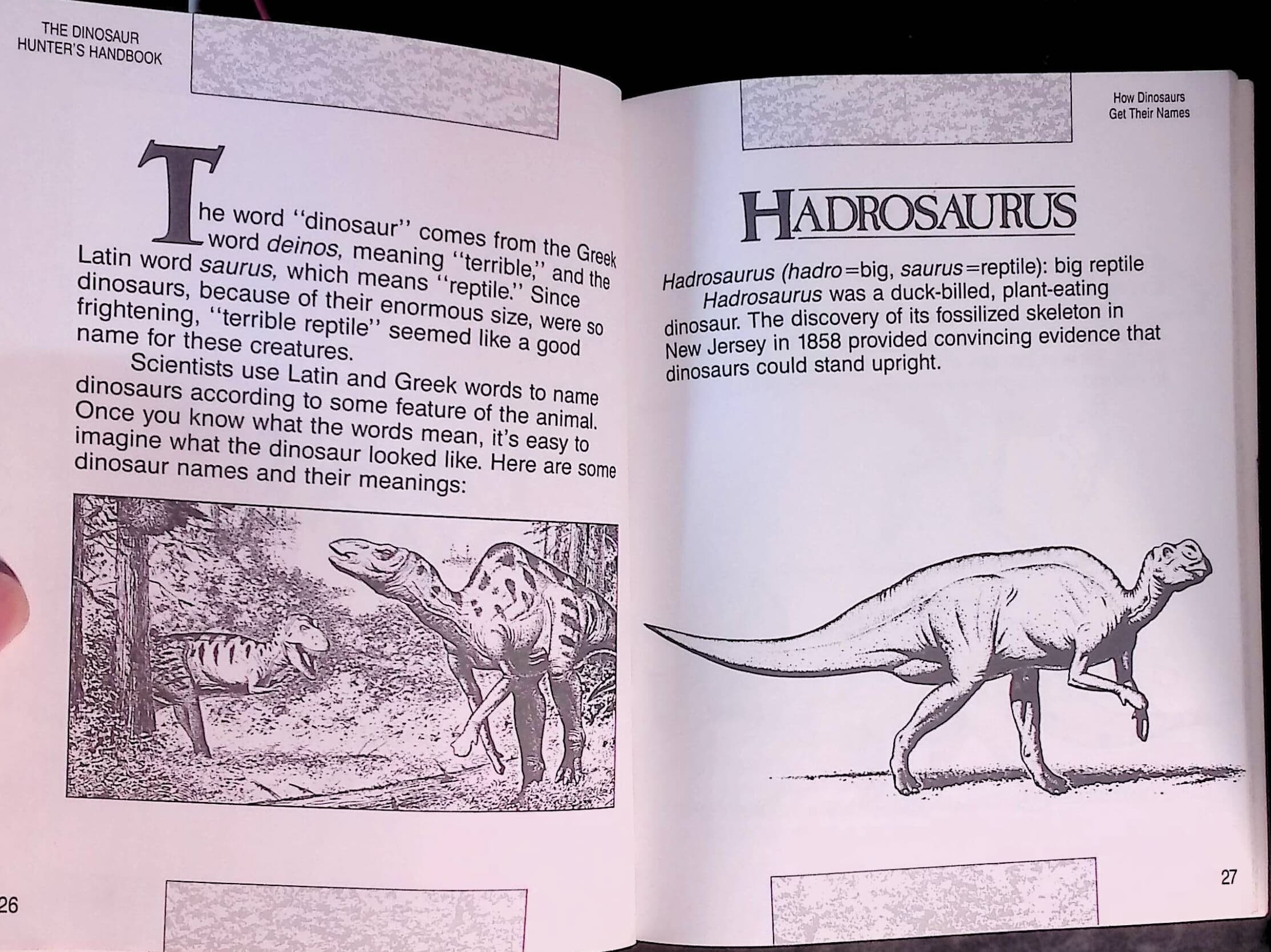 The Dinosaur Hunter's Handbook: Discover the Traces of a Lost World (paperback)