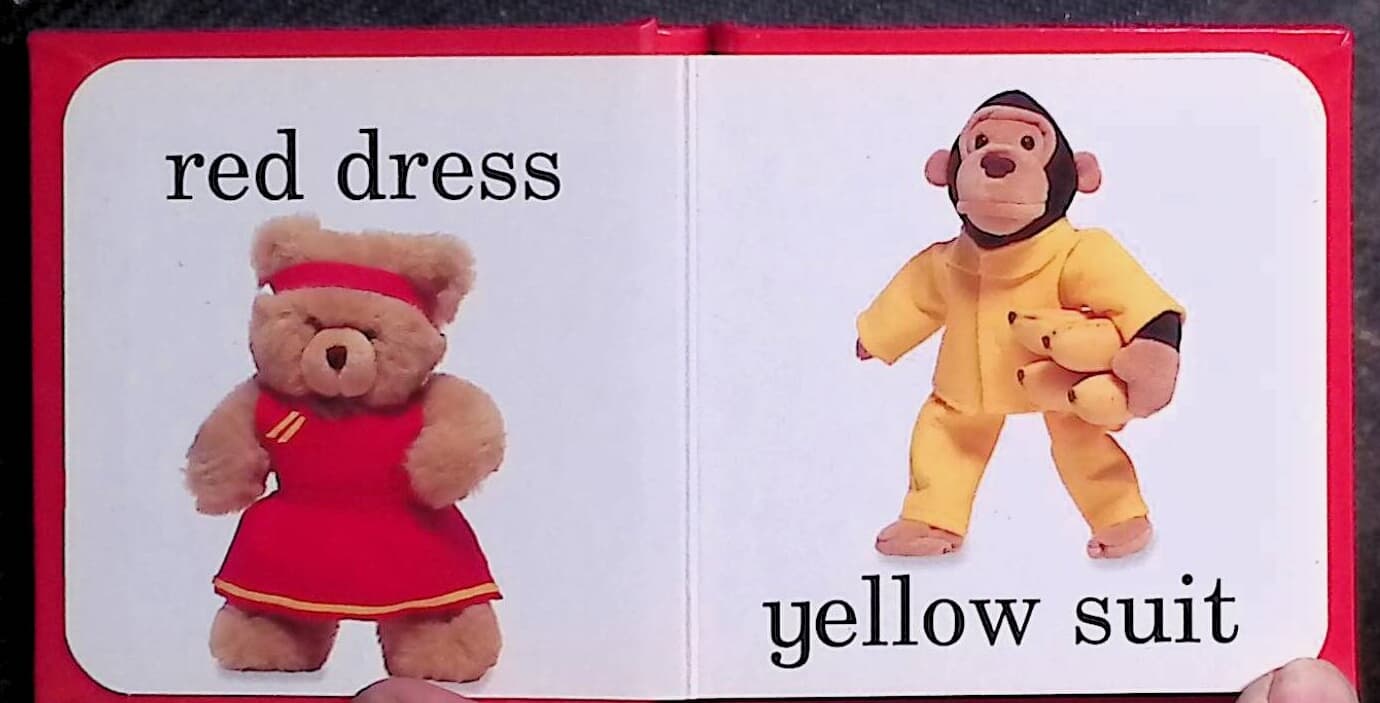 Colors to wear board book