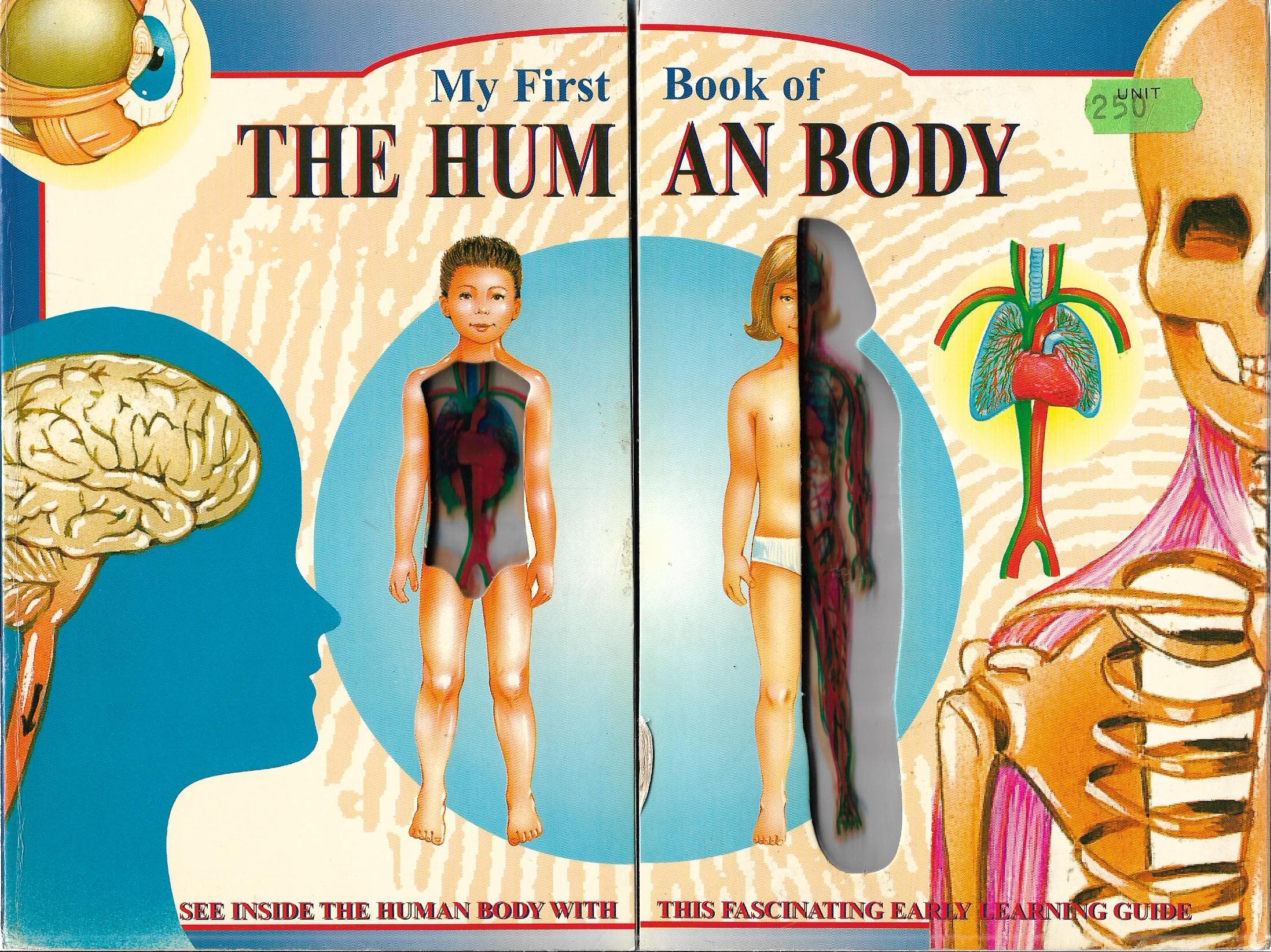 My First Book of  THE HUMAN BODY (보드북)