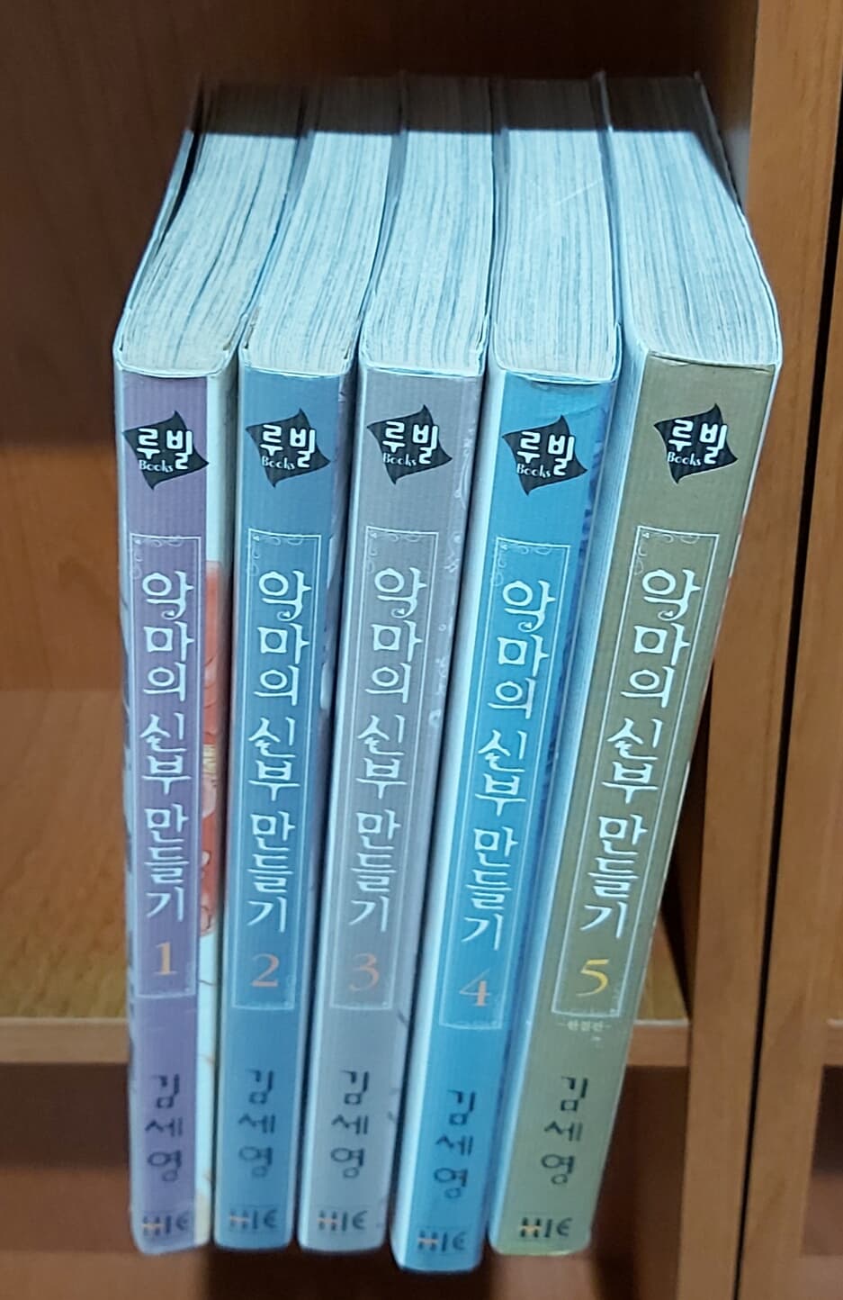 악마의 신부 만들기 1-5 완결, 상급