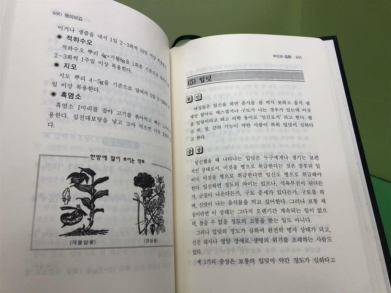 누구든지 처방할 수 있는 한글판 허준 동의보감 (상.하) -전2권 세트-