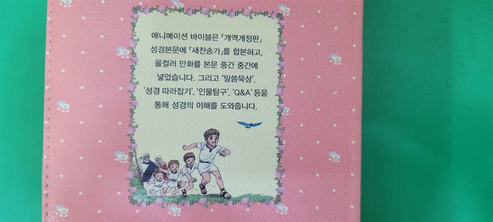 애니메이션 바이블 (개역개정 해설새찬송가)