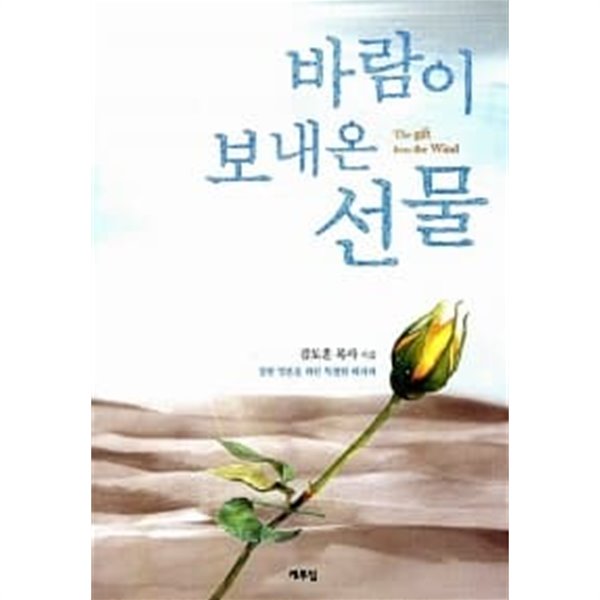 바람이 보내온 선물