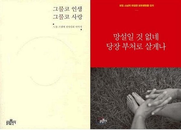 망설일 것 없네 당장 부처로 살게나 + 그물코 인생, 그물코 사랑 /(두권/도법 스님/하단참조)