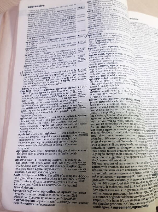 Collins Cobuild Learner's Dictionary Concise Edition