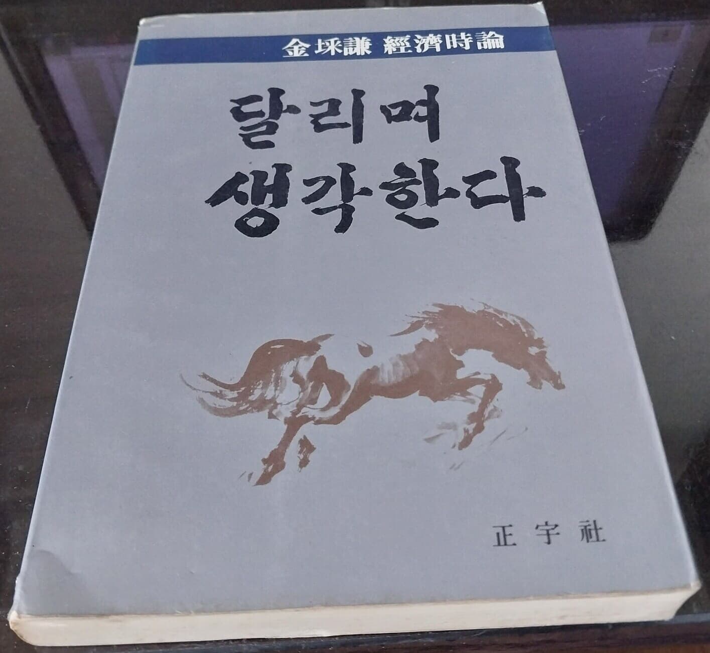 달리며 생각한다 - 김채겸 경제시론 | 정우사 | 1987년 1월 초판