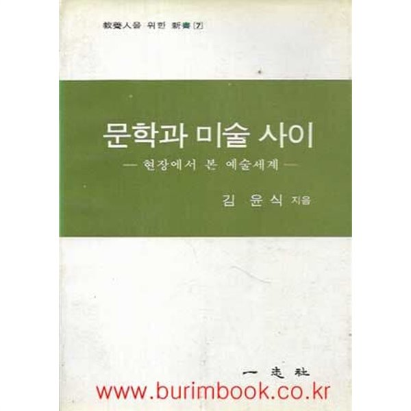 교양인을위한신서 7 문학과 미술 사이 현장에서본예술세계