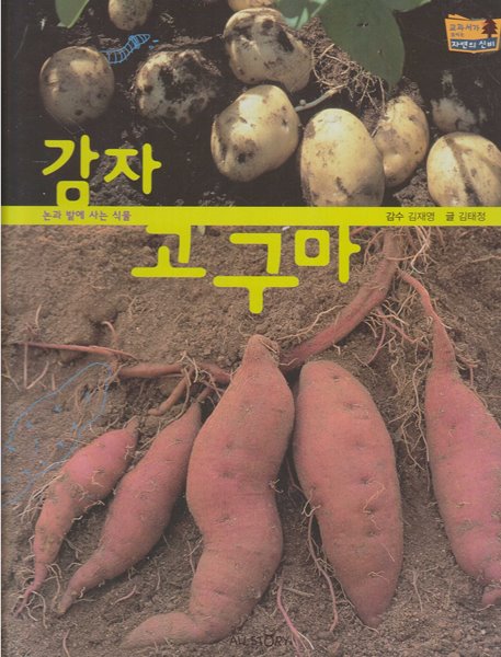 감자ㆍ고구마 (교과서가 보이는 자연의 신비, 56 - 논과 밭에 사는 식물)